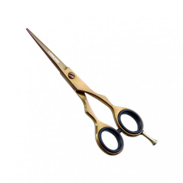 Titanium Hairdressing Scissor