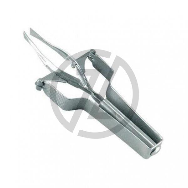 Eyebrow Tweezer - Polish Color